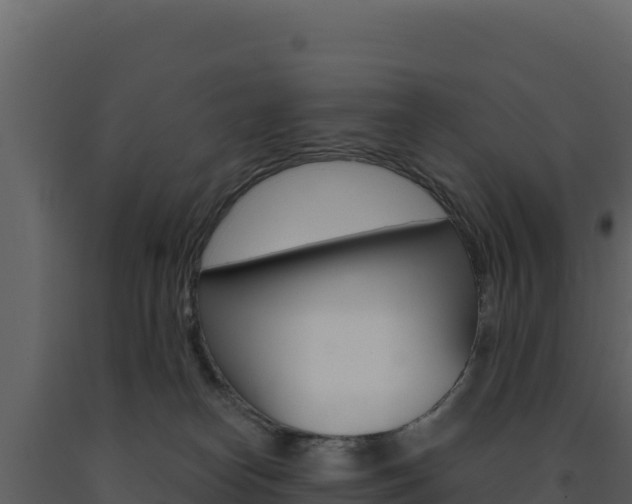 X0000091730182200708241052