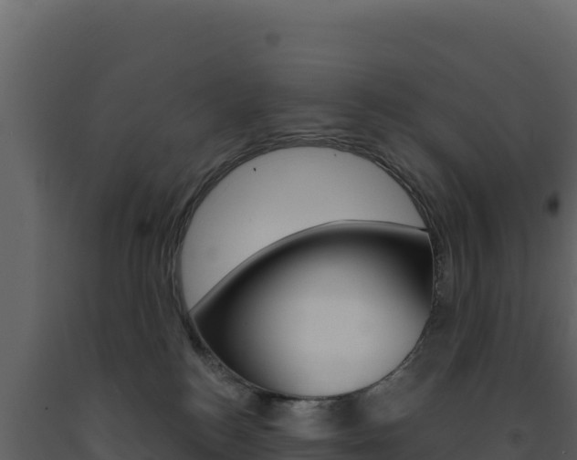 X0000091730184200708241053