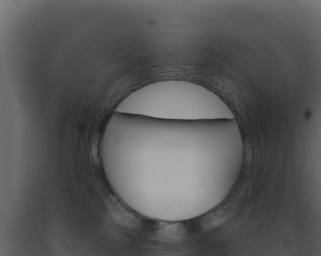X0000091730185200708241053
