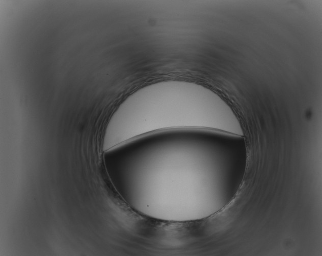 X0000091730186200708241053