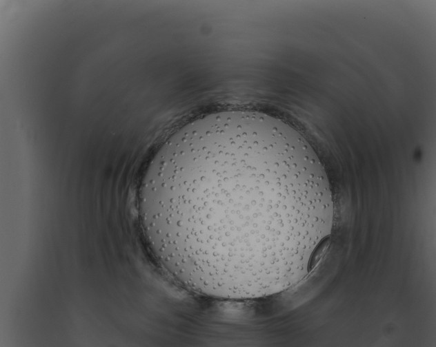 X0000091730187200708241053