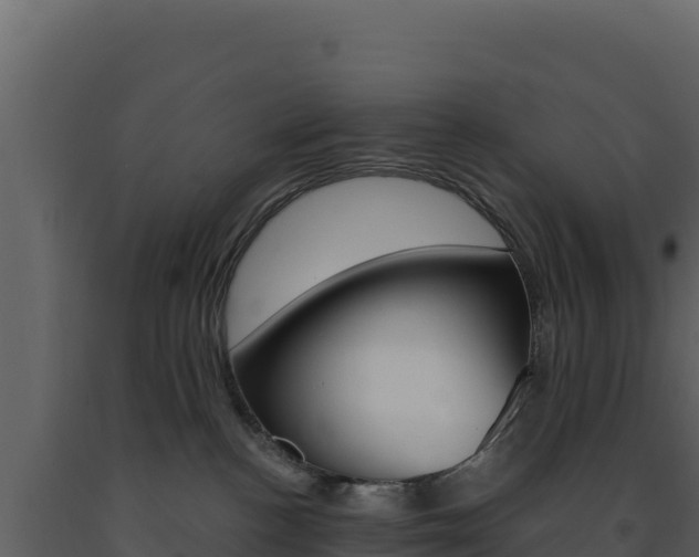 X0000091730188200708241053