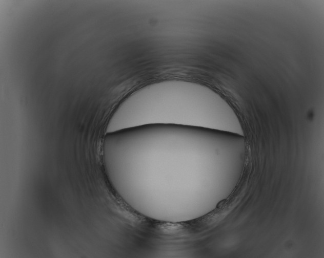 X0000091730189200708241053