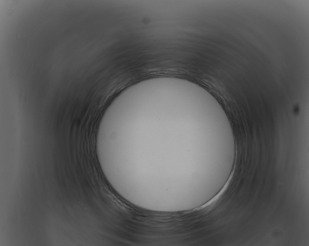 X0000091730190200708241053