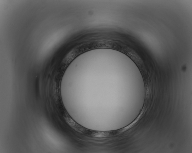 X0000091730191200708241053