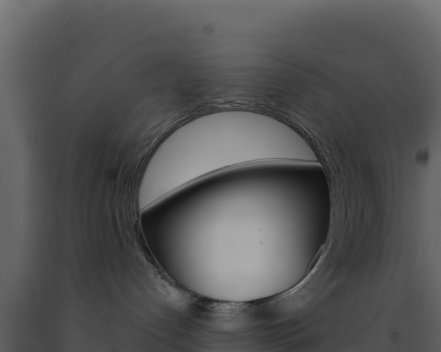 X0000091730192200708241053