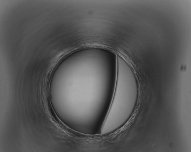X0000091730193200708241052