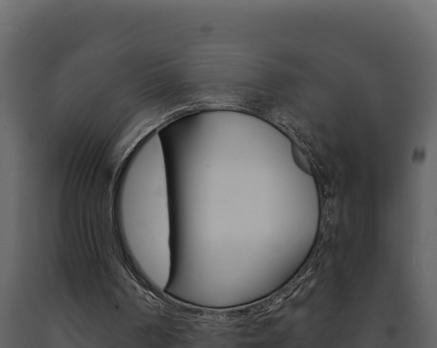 X0000091730194200708241052