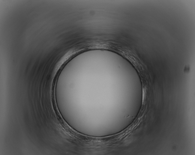 X0000091730195200708241052