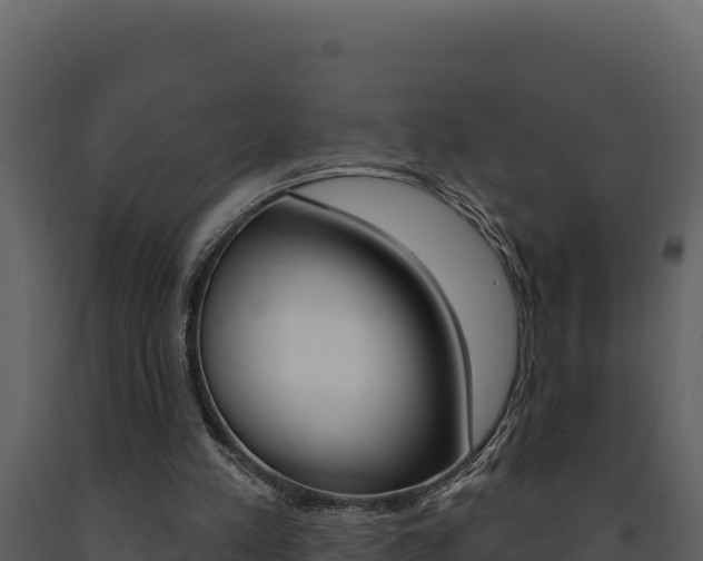 X0000091730197200708241052