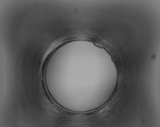X0000091730198200708241052