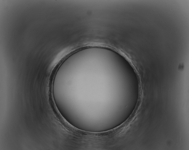X0000091730199200708241052
