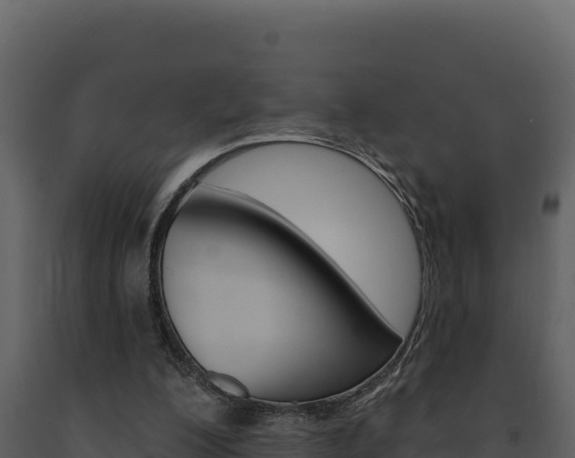 X0000091730200200708241052