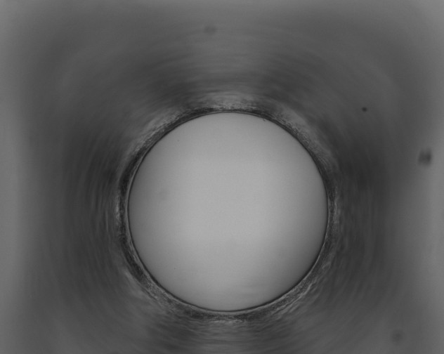 X0000091730202200708241052