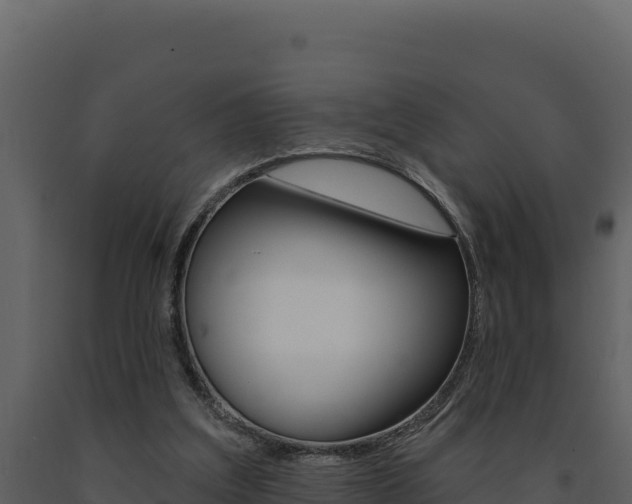 X0000091730203200708241052