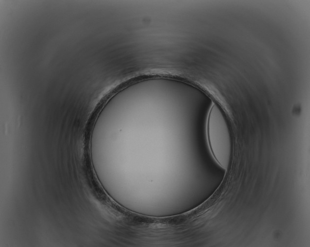 X0000091730204200708241052
