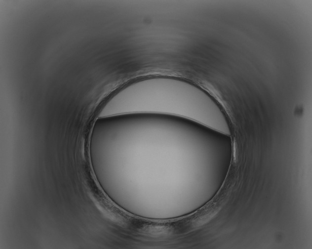 X0000091730205200708241052