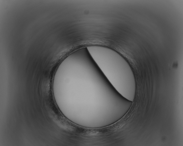 X0000091730206200708241052