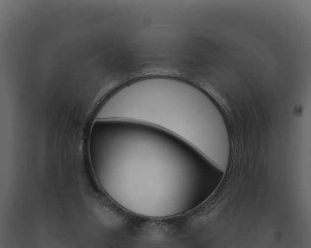 X0000091730207200708241052