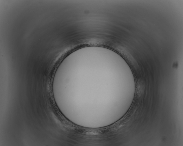 X0000091730208200708241052
