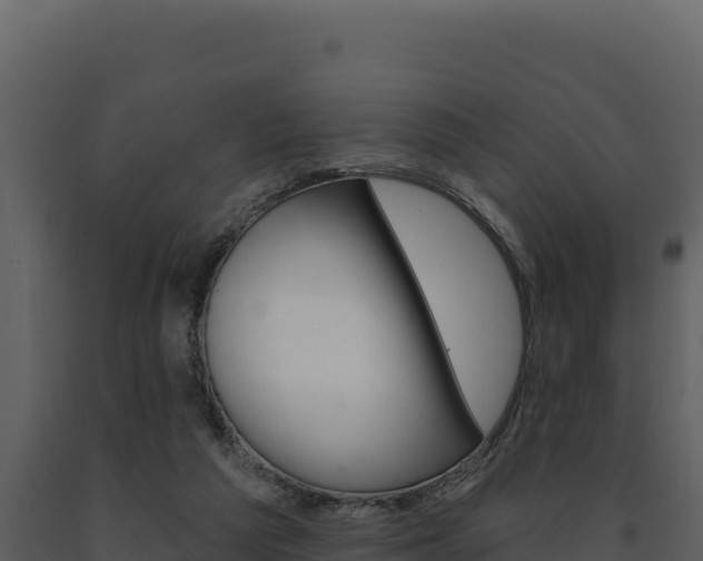 X0000091730209200708241052