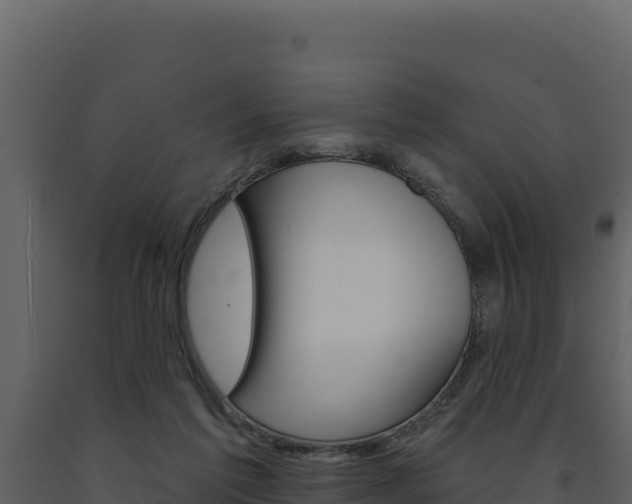 X0000091730213200708241052