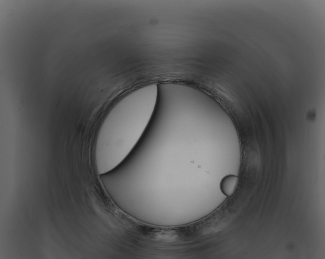 X0000091730214200708241052