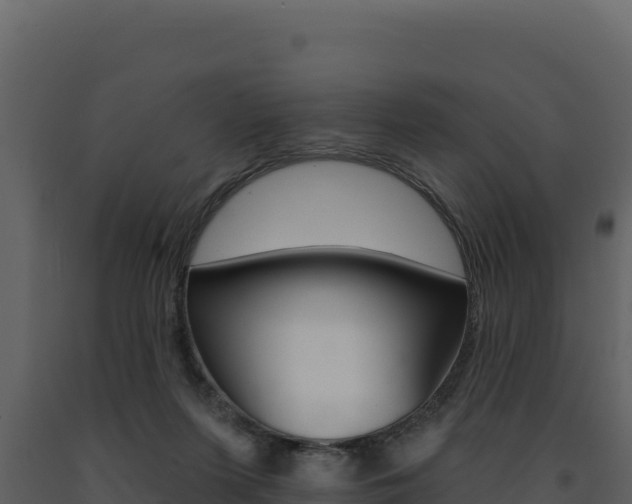 X0000091730215200708241052