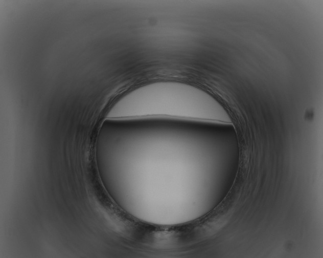 X0000091730216200708241052