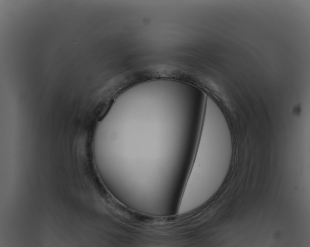 X0000091730217200708241052