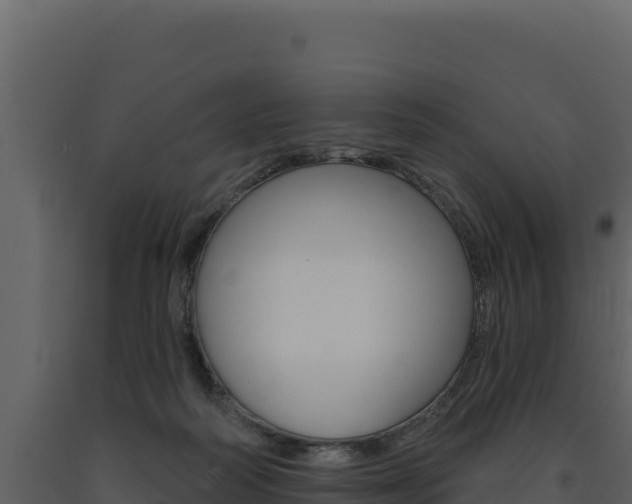X0000091730218200708241052