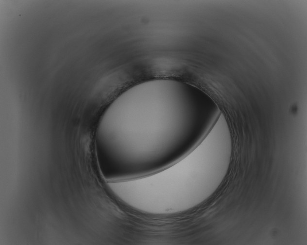 X0000091730219200708241052