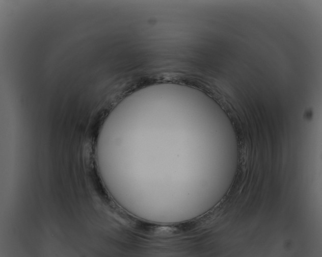 X0000091730222200708241052