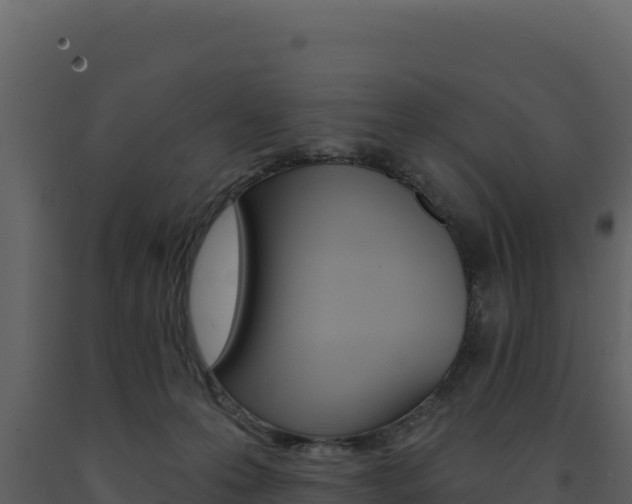 X0000091730223200708241051