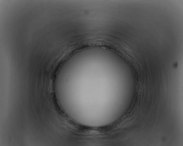 X0000091730224200708241051