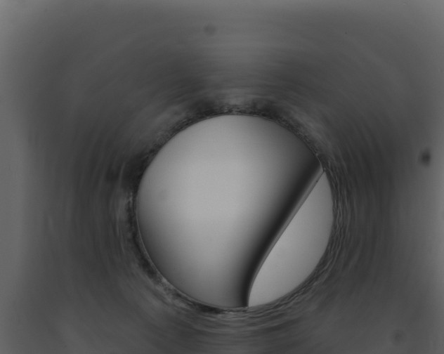 X0000091730225200708241051