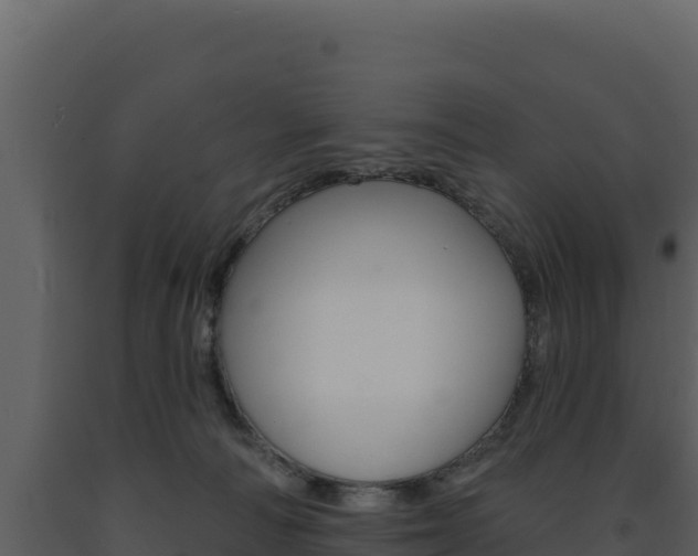 X0000091730226200708241051