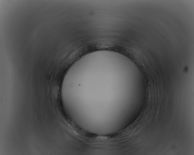 X0000091730227200708241051