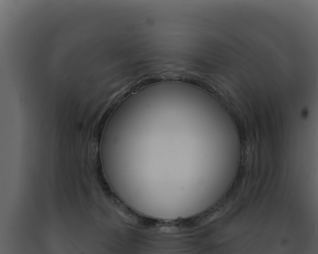 X0000091730228200708241051