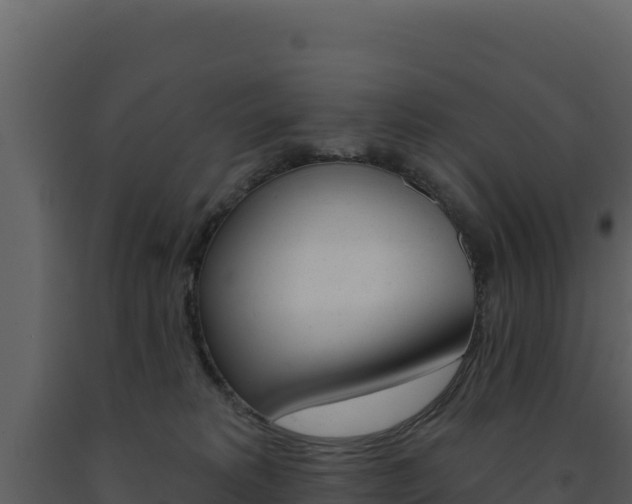 X0000091730229200708241051