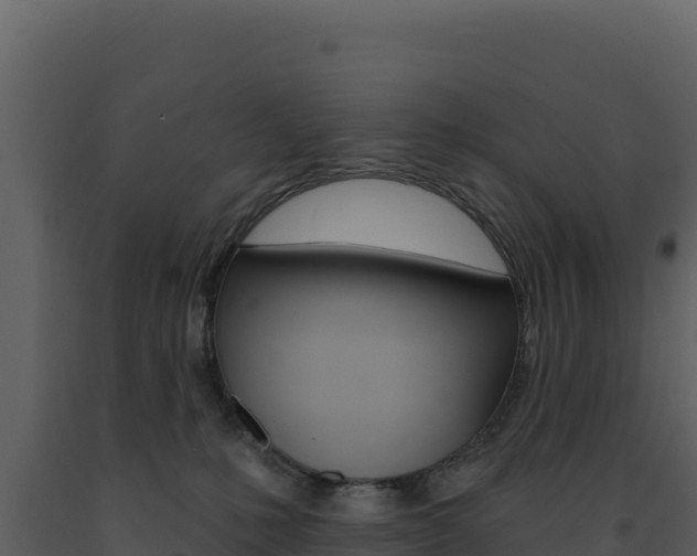 X0000091730231200708241051