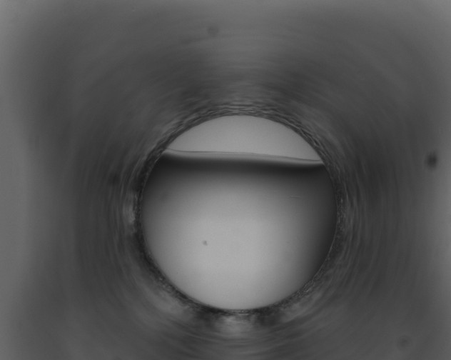 X0000091730232200708241051