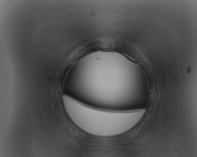 X0000091730233200708241051