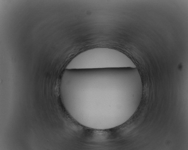 X0000091730234200708241051