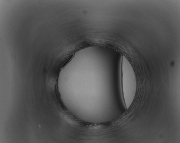 X0000091730235200708241051