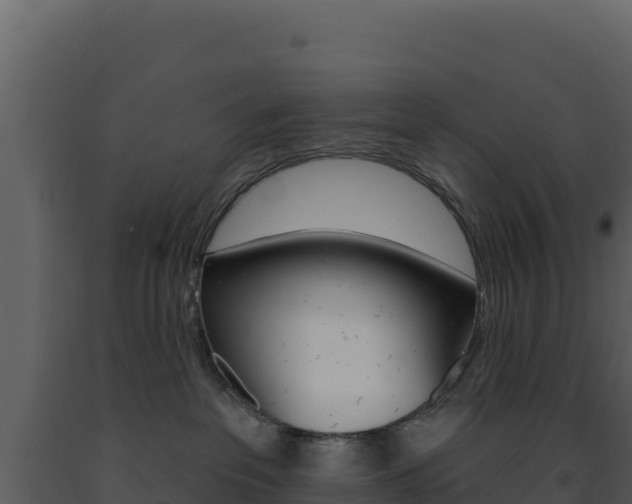 X0000091730237200708241051