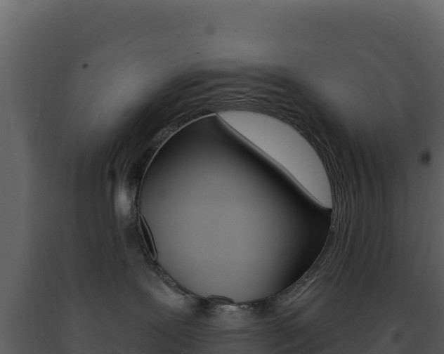 X0000091730239200708241051