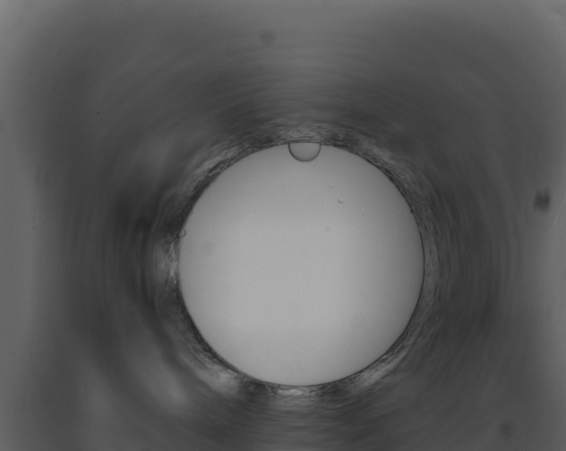 X0000091730240200708241051