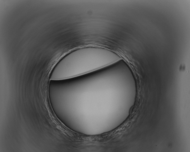 X0000091730241200708241050