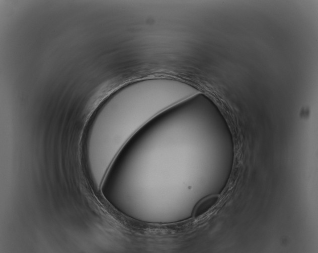 X0000091730242200708241050